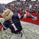 Illustration for article titled Super Bowl L: A Rooting Guide